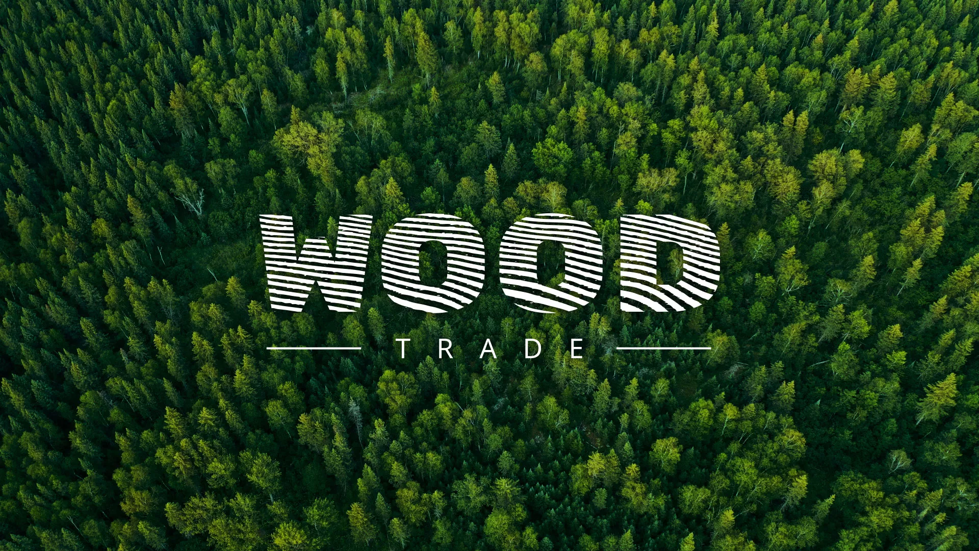 Разработка интернет-магазина компании «Wood Trade» в Сретенске